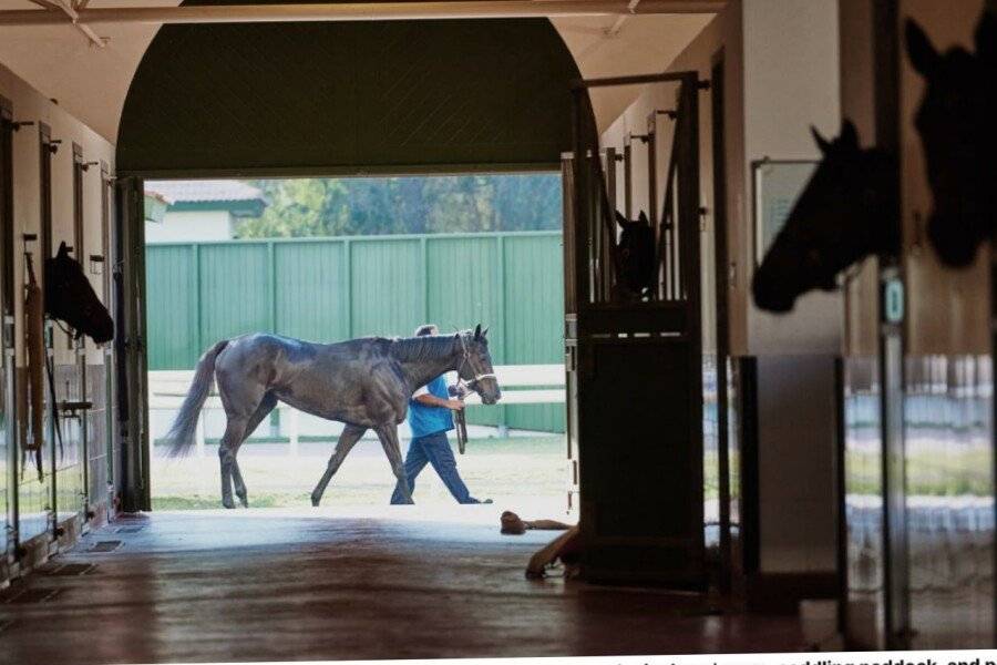 The Meydan Hotel 