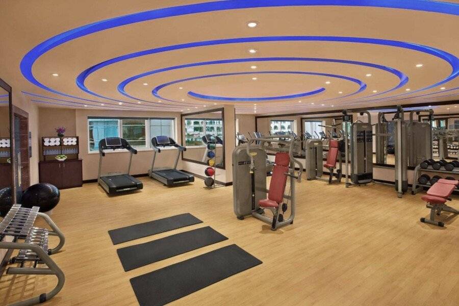 DoubleTree by Hilton Hotel and Residences – Al Barsha fitness centre