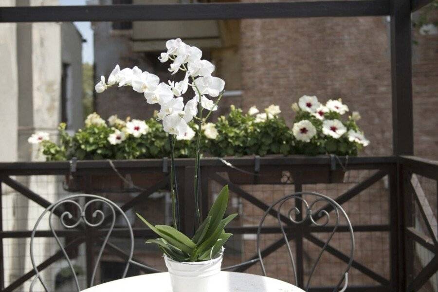 Hotel Campiello , balcony