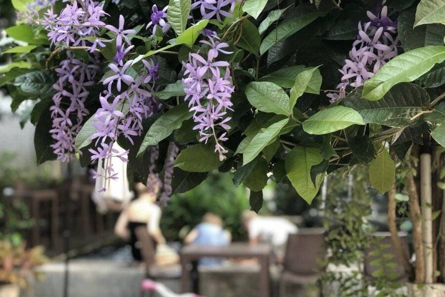 Feung Nakorn Balcony Rooms and Cafe 