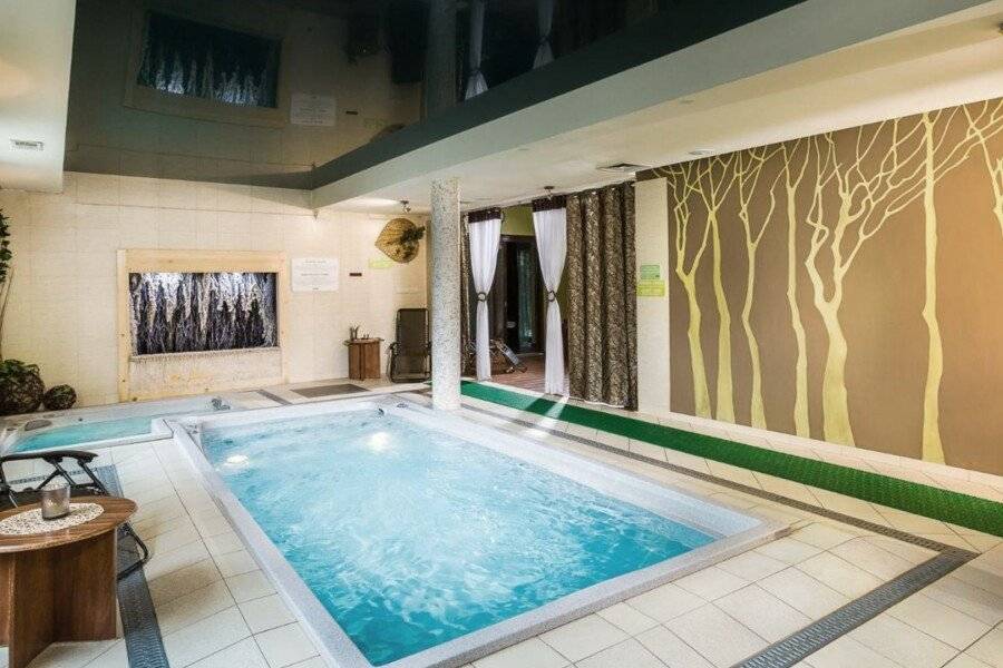 Hotel City SM Business & Spa spa,indoor pool,jacuzzi