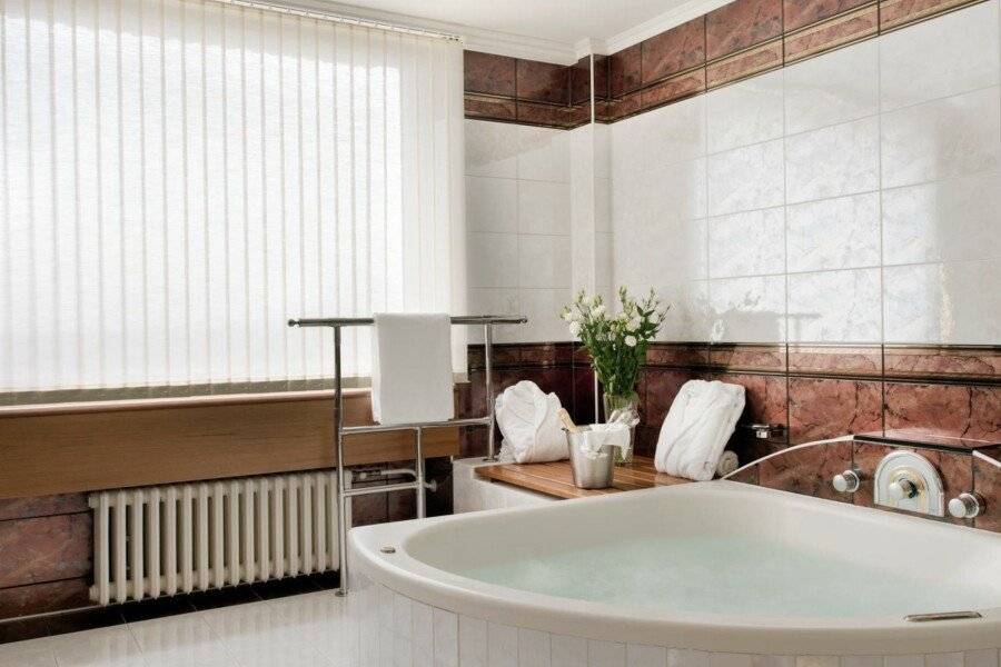 Panorama Hotel bathtub,spa