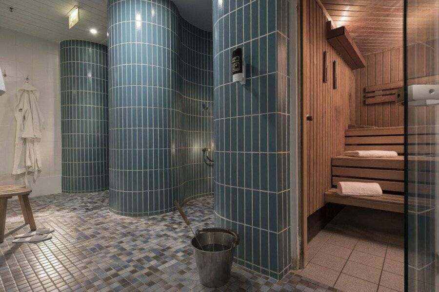 Maritim proArte Hotel spa,sauna