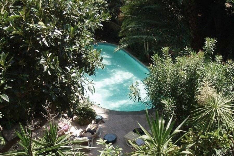 Le Windsor, Jungle Art Hotel outdoor pool,garden