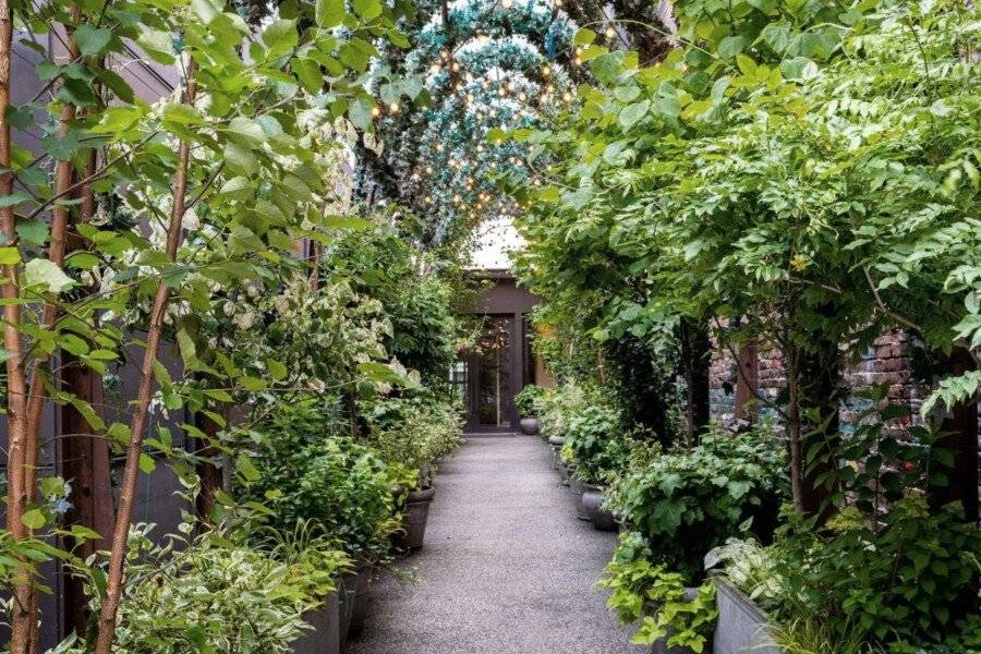 NoMo SoHo garden