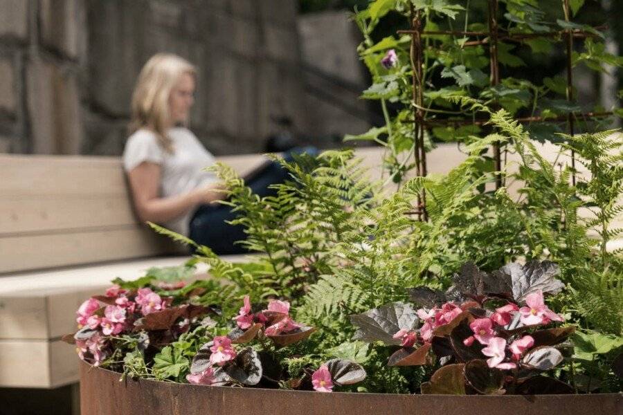 STF Hostel Stigbergsliden garden