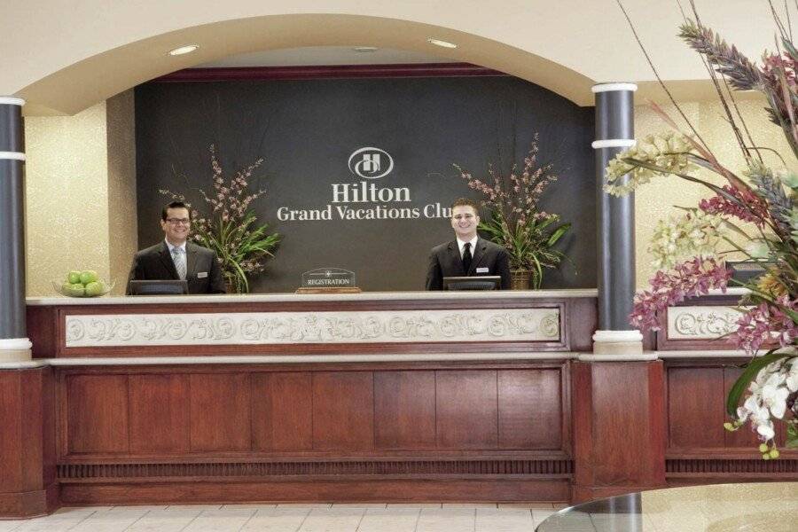 Hilton Grand Vacations Club Paradise front desk,lobby,