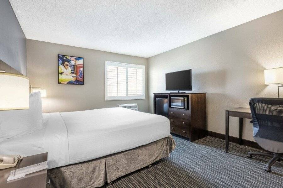 Best Western McCarran Inn hotel bedroom