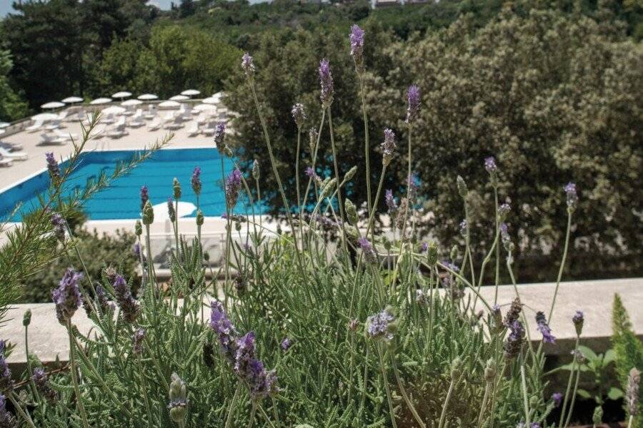 Hotel Villa Pamphili Roma outdoor pool,garden