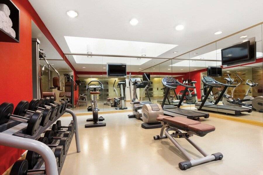 Ibis Al Rigga fitness centre