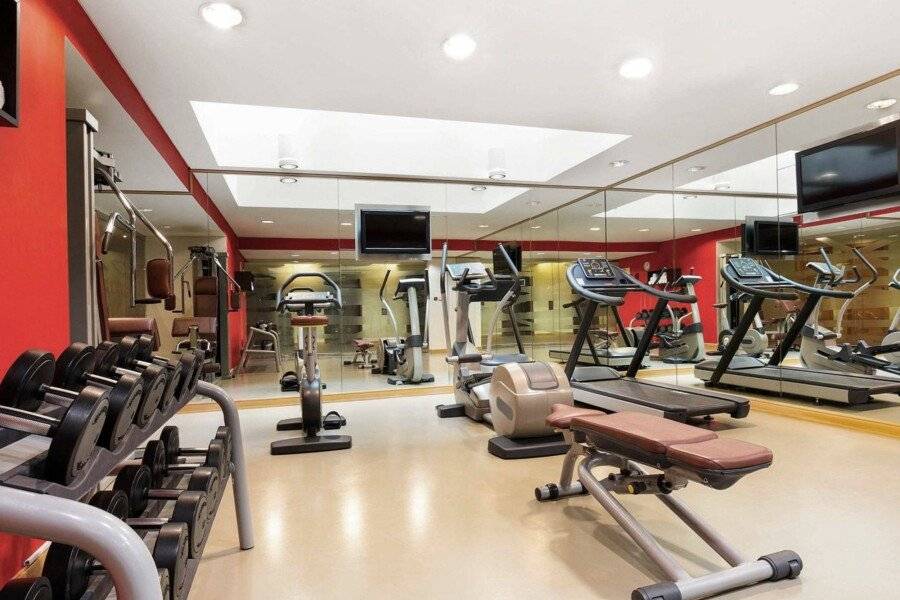 Ibis Al Rigga fitness centre