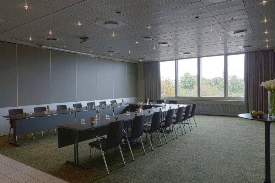 Radisson Blu Scandinavia Hotel, conference room,meeting room