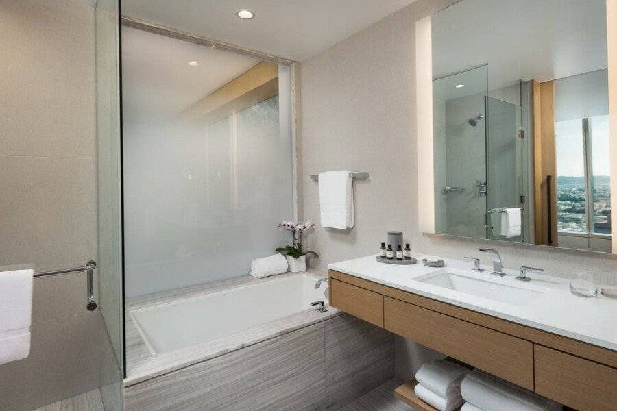 InterContinental - Downtown, an IHG Hotel bathtub