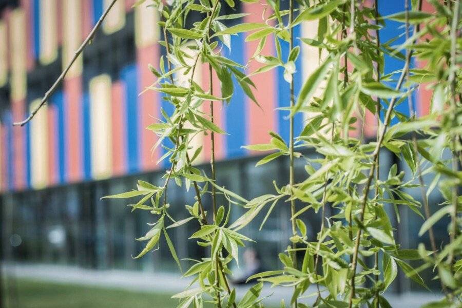 Centre Esplai Albergue facade,garden