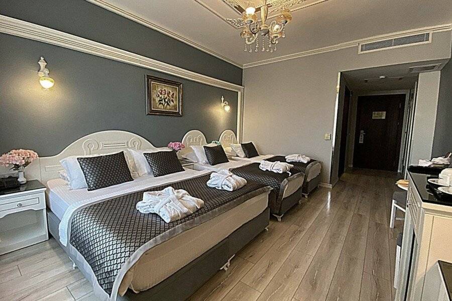 Gülhanepark Hotel & Spa hotel bedroom