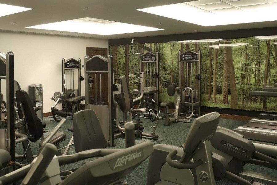 Park Plaza County Hall fitness centre