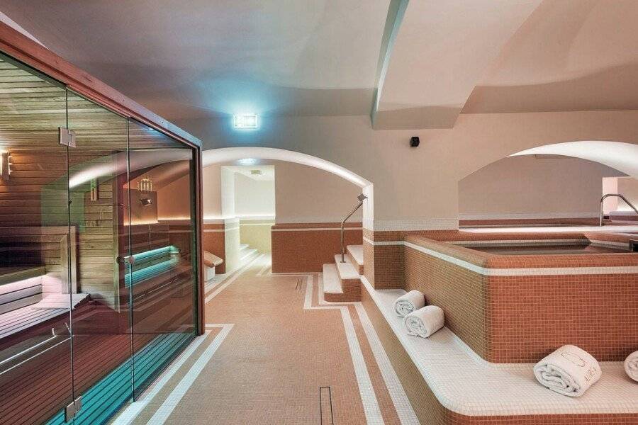 Áurea Ana Palace by Eurostars Hotel Company spa,sauna