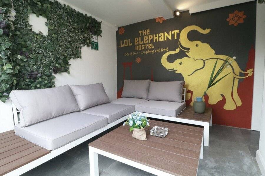 The LOL Elephant Hostel 