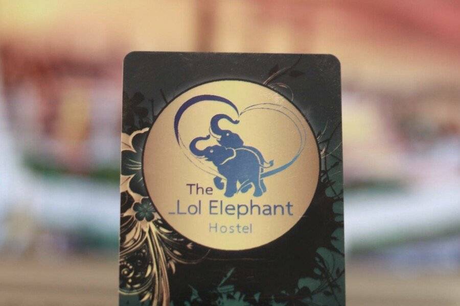 The LOL Elephant Hostel 