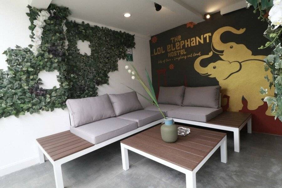 The LOL Elephant Hostel 