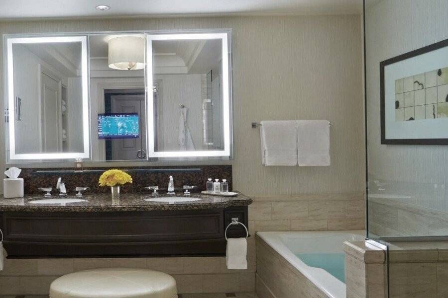 Four Seasons Hotel Las Vegas bathtub