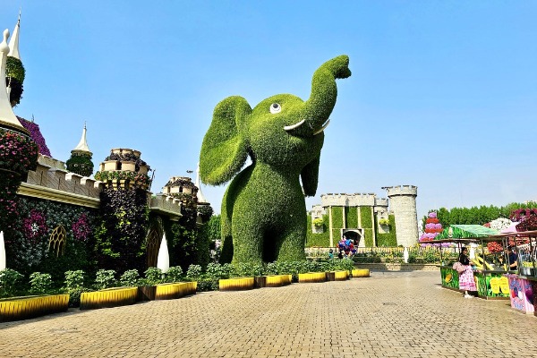 Dubai Miracle Garden