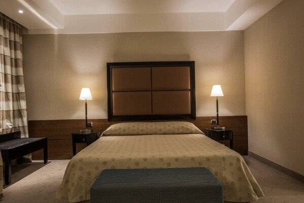 Deluxe Double or Twin Room with City View