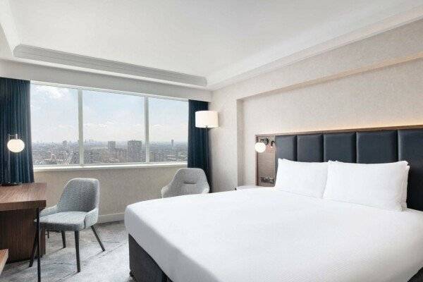 Deluxe King Room with City View