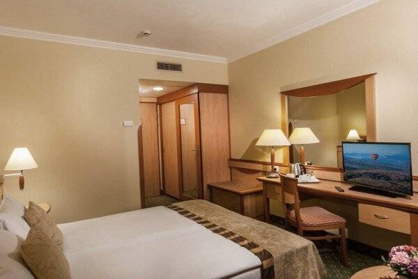 Superior Double Room with Danube View