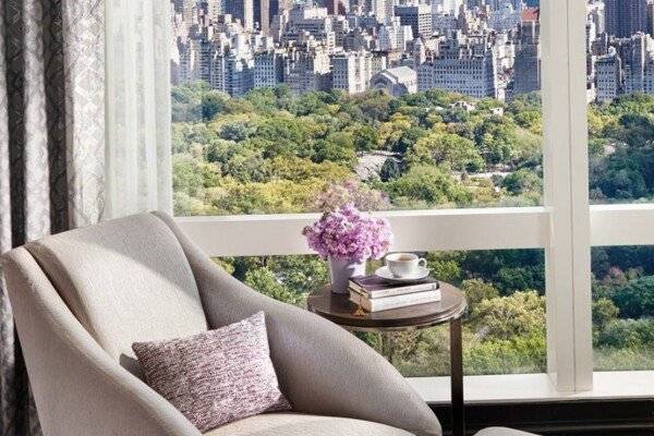 Premier King Suite with Central Park View