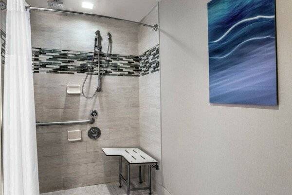 King Studio with Roll-In Shower - Mobility and Hearing Access/Non-Smoking