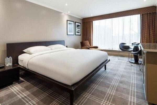 Business Double Room