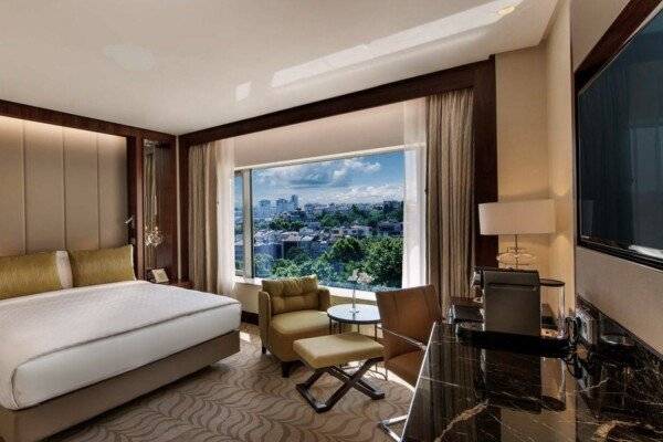 Executive King Room with Park View